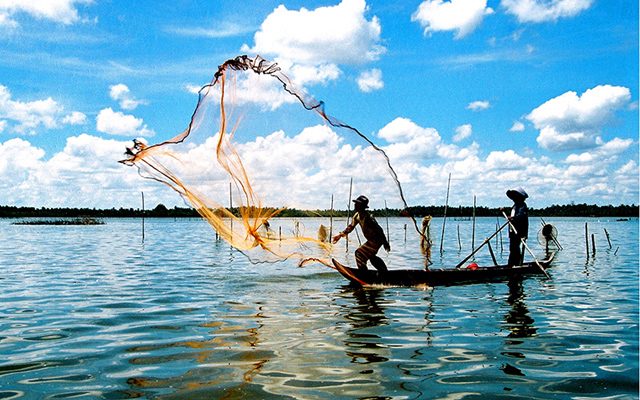 Tour du lịch Cà Mau: Chinh phục cực Nam của Tổ Quốc